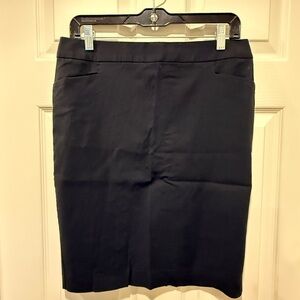 Express Black Pencil Skirt